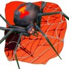 Spider Hunter Kill It With Fire