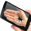 Spider On Hand Prank