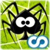 Spider Web