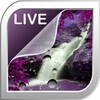 Splashing Waterfalls Live Wallpaper