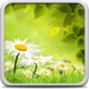 Spring Meadow Live Wallpaper