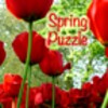 Spring Puzzle