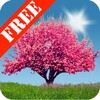Spring Trees Free