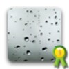 Steamy Window