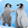 Stunning Animal Wallpapers