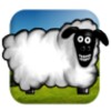 Stupid Sheep