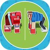 Sumotori Game