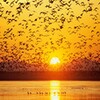 Sunrise Wallpapers HD