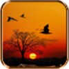 Sunset Live Wallpaper
