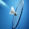 Super Badminton