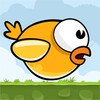 Super Idiot Bird