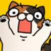 Surprised Cat