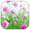 Sweet Flowers