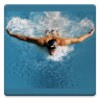 Swimming Lessons