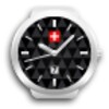 Swiss Watches Book