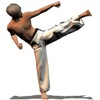 Taekwondo Forms (Sponsored)
