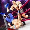 Tag Wrestling