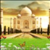TAJMAHAL BIRDS Live Wallpaper