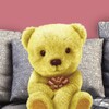Talking Bear Plush