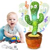 Talking Cactus