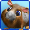 Talking Hamster