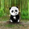 Talking Panda