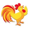 Talking Rooster
