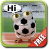 Talking Soccer Ball