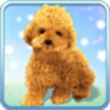 Talking Teddy Dog