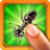 Tap The Bug