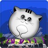 Tap The Cat