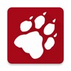 Taz.app