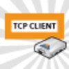 TCPClient