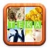 Teka Gambar