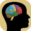 Test De Inteligenta