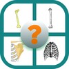 Test Imágenes Anatomía