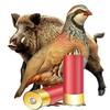Test Licencia Armas