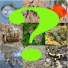 Test Reptiles, Peces, Anfibios