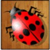 The Beetle Game