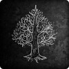 The Darkest Woods