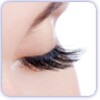 The Lashes Clinc