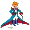 The Little Prince Book