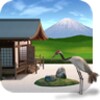 The Living Garden: Zen