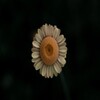 The Most Beautiful Pictures And Backgrounds Of The Natures Part 3