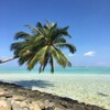 The Most Beautiful Pictures And Summer Backgrounds