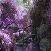 The Most Beautiful Roses And Flowers Inside The Gardens And Gardens