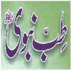 Tib E Nabvi