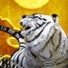 Tiger & Gold Dragon Trial