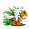 Tiger Lulu