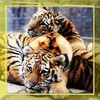 Tigers Sounds Live Wallpaper